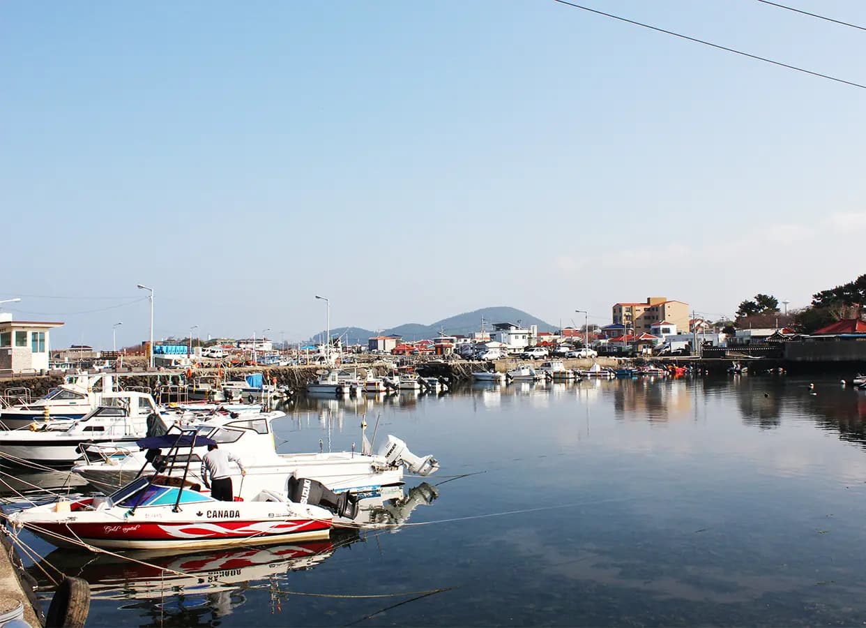 별도포구