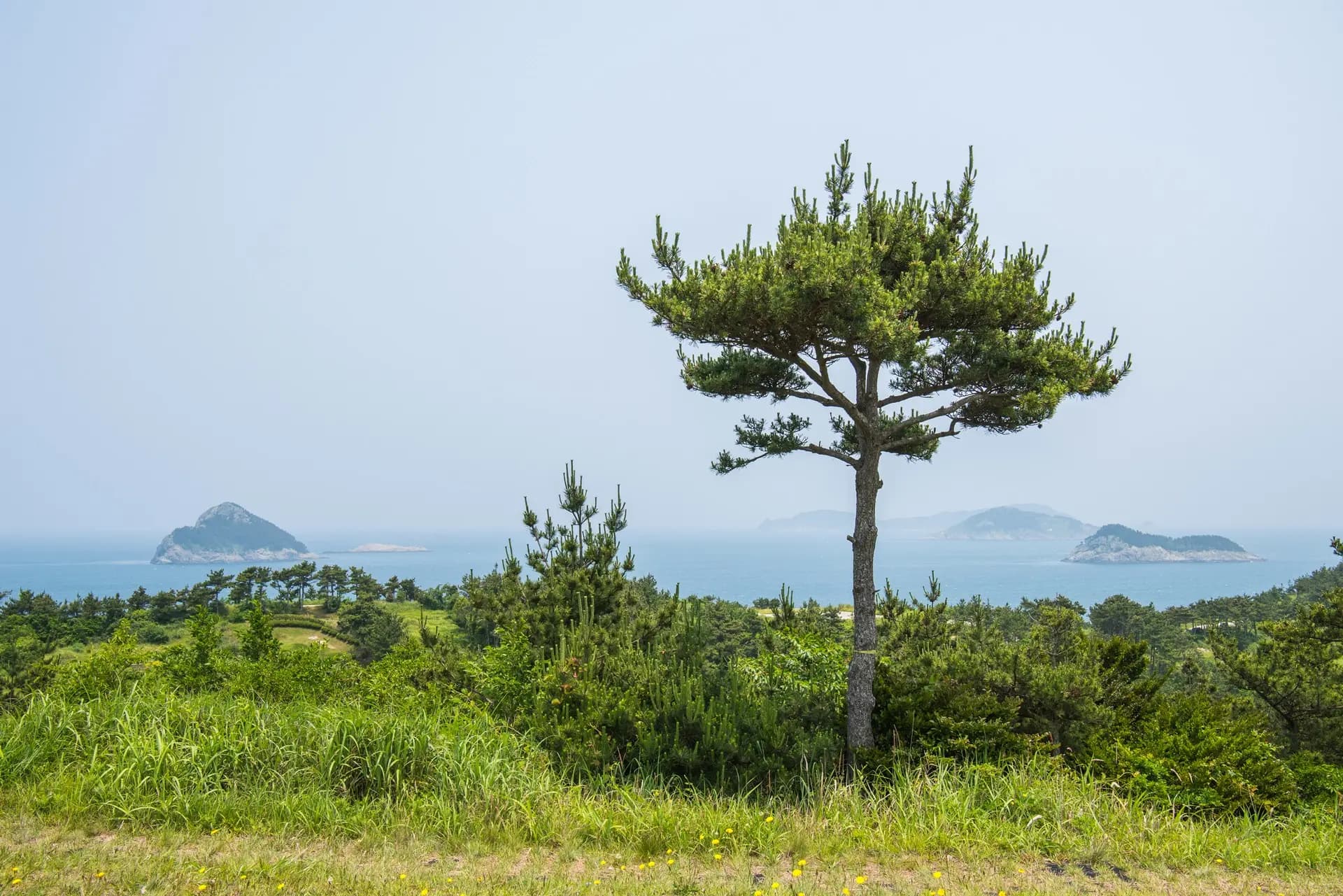돈대산