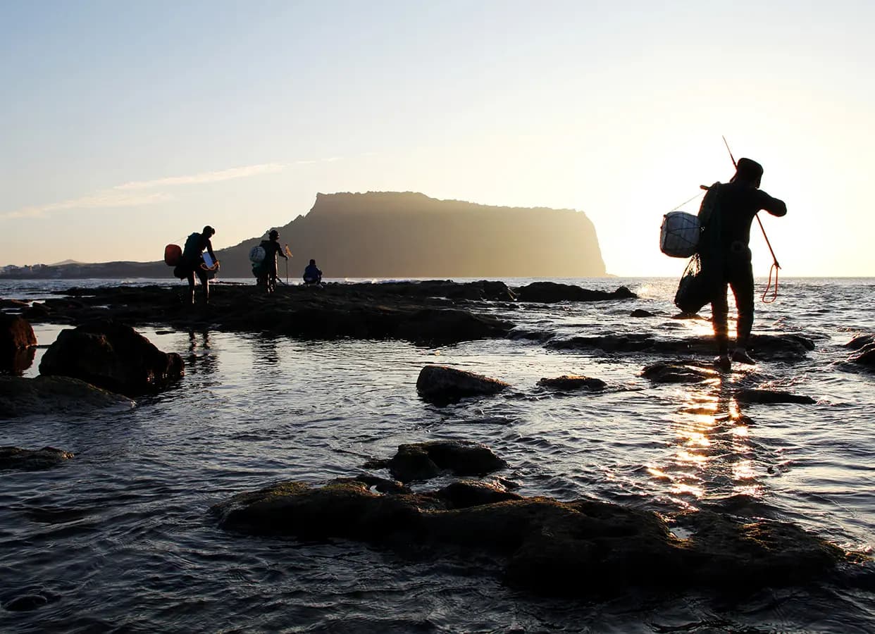 Finding Sumbi - Haenyeo: Mothers of Jeju