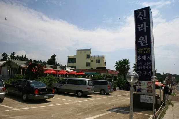 중문신라원 말고기