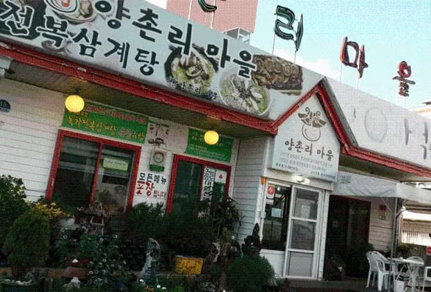 양촌리마을