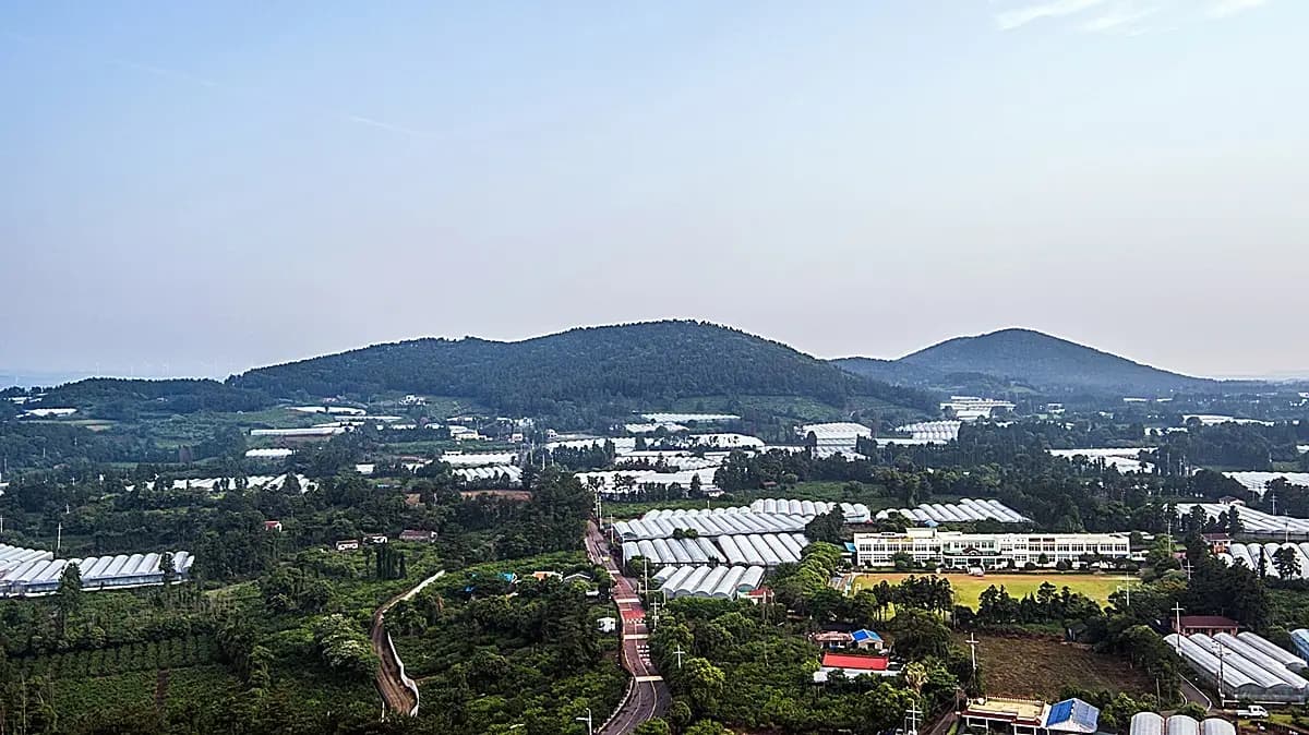 토산봉(망오름)