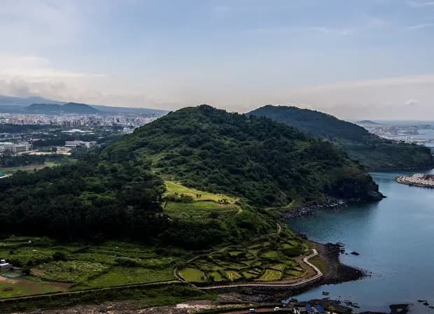 별도봉