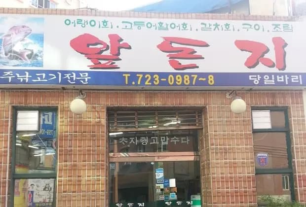 앞돈지