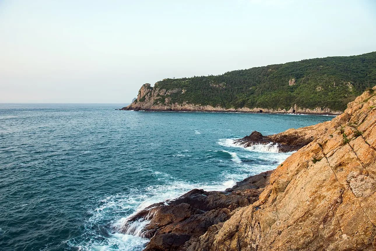 신대해안