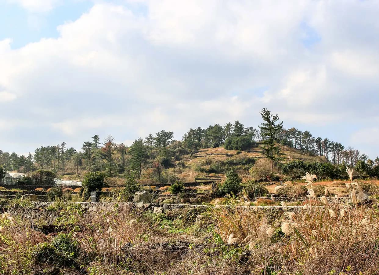 판포오름 (널개오름, 板浦岳)
