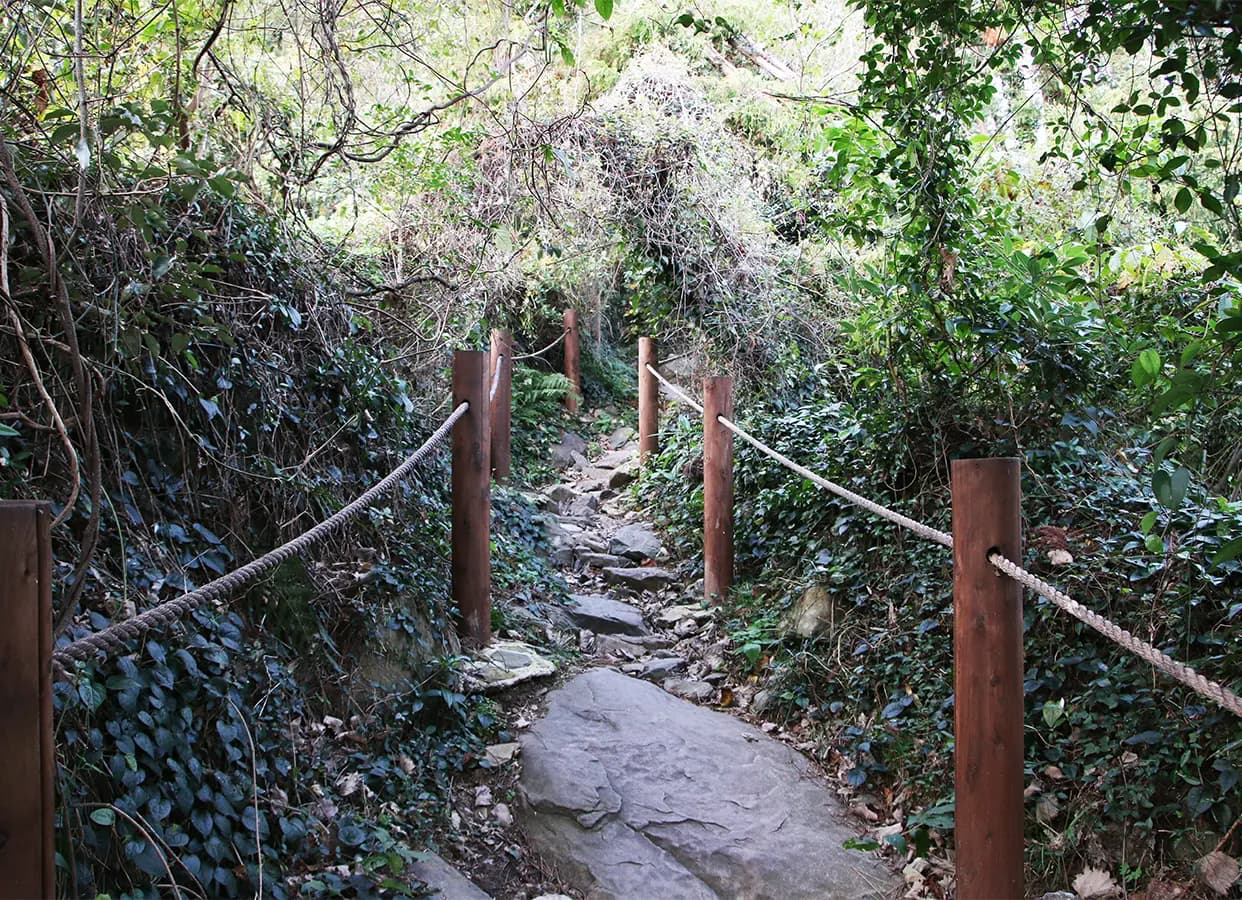 볼레낭길