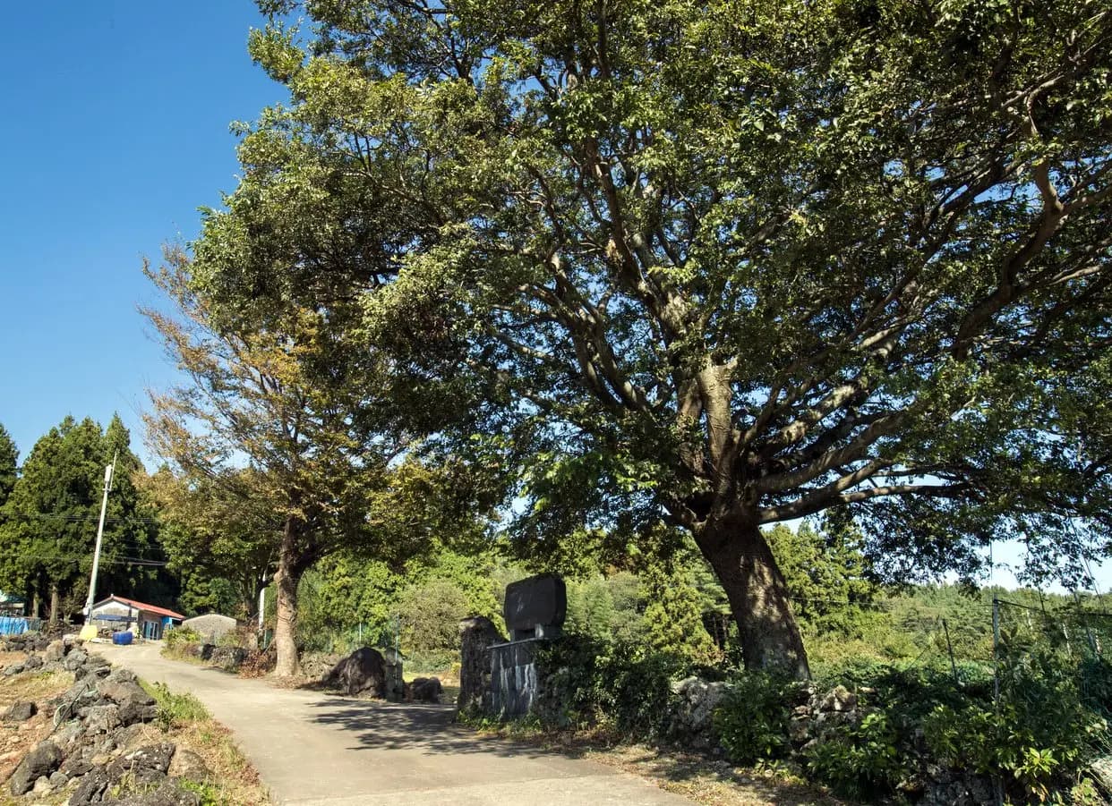 영남동