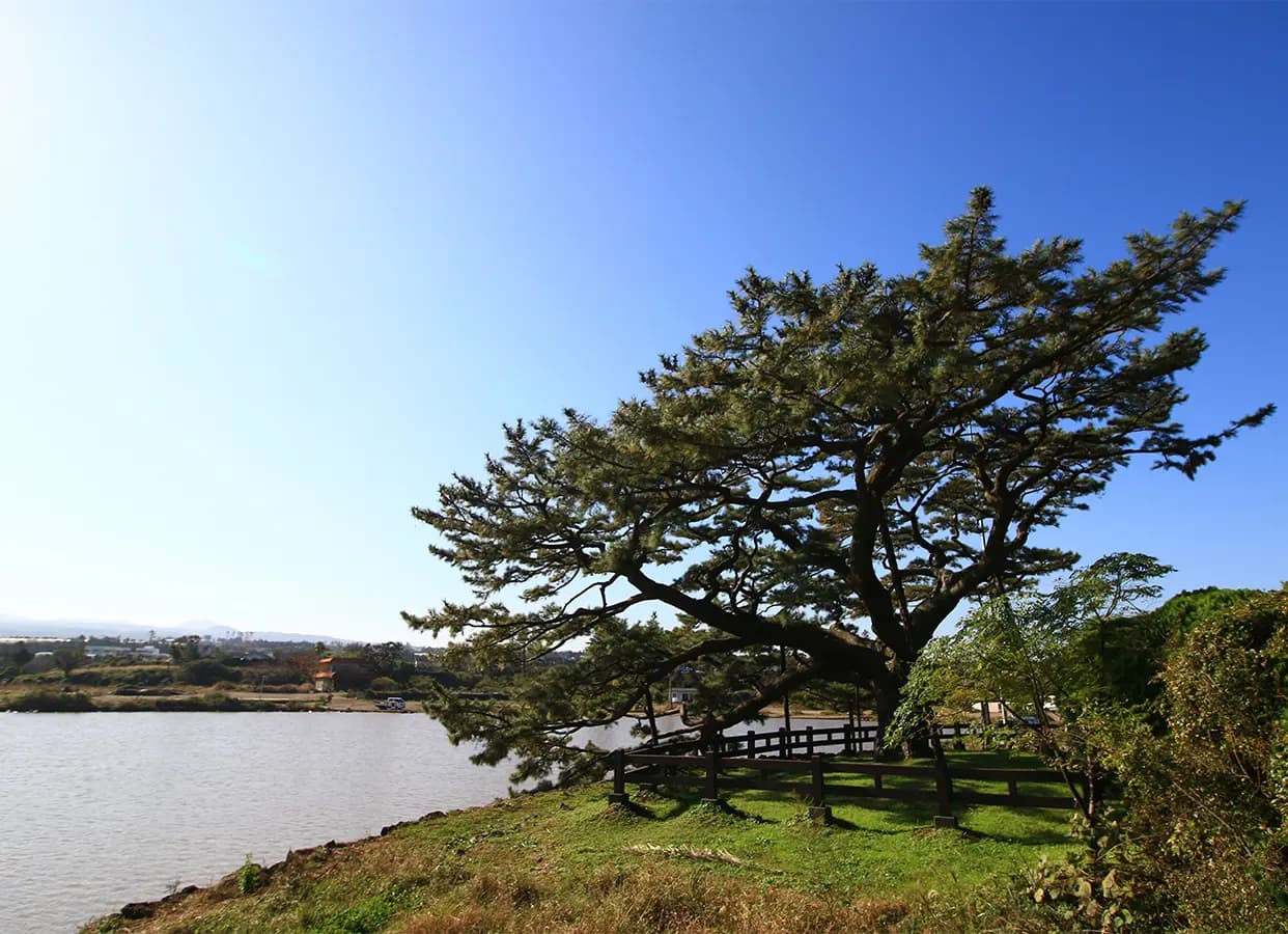 수산저수지