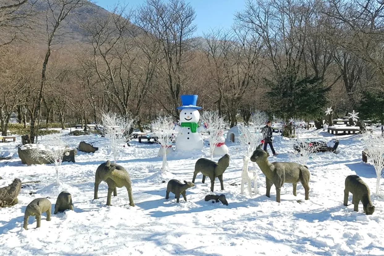 Jeju Winter Festival