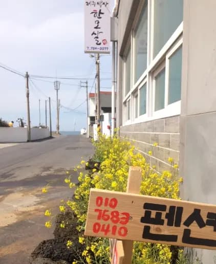 한모살