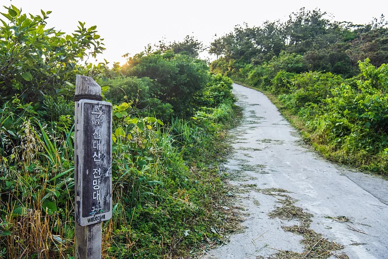 신대산전망대