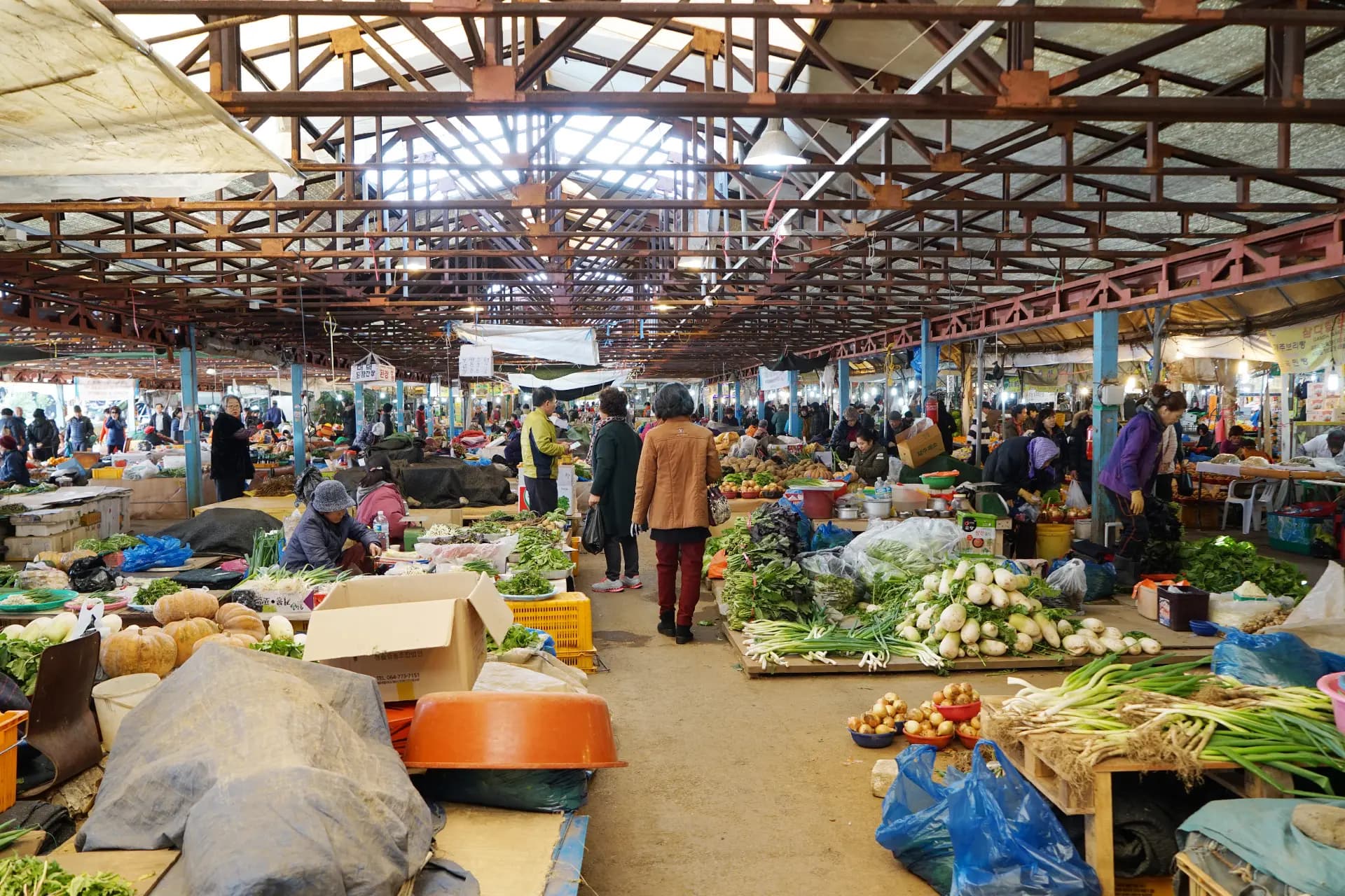 Discover the Feeling: Jeju 5-day Market Journeys