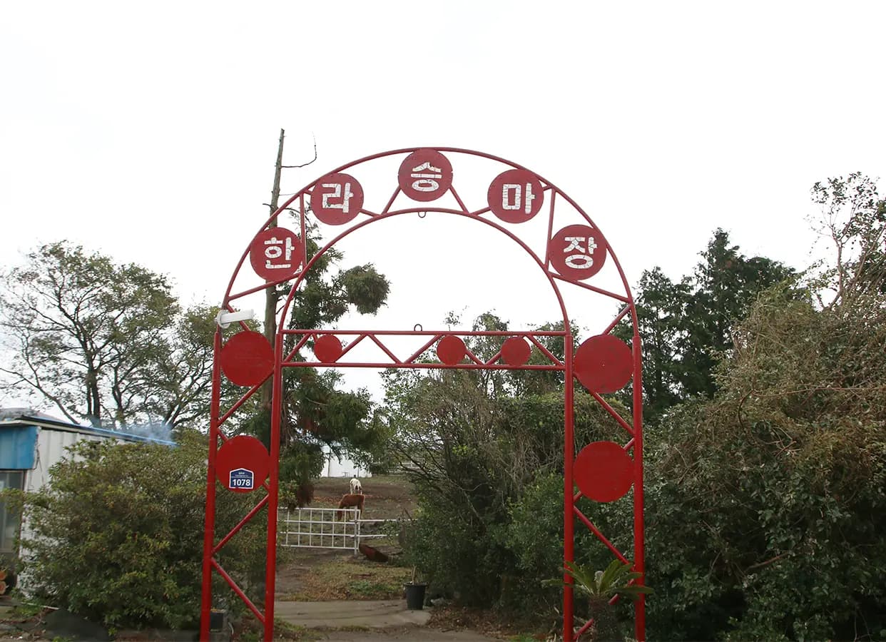 한라승마장