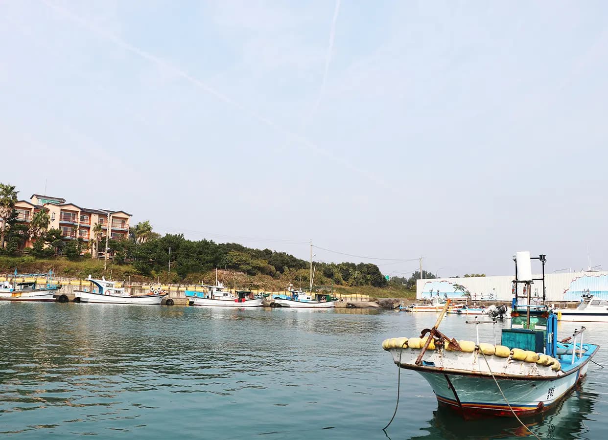 태흥포구