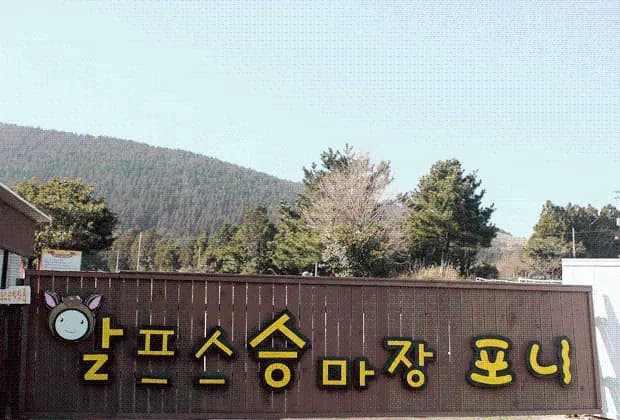 알프스승마장포니