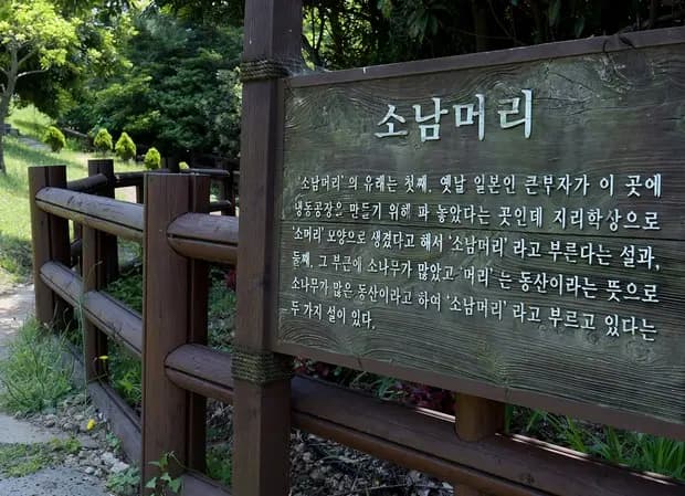 소남머리