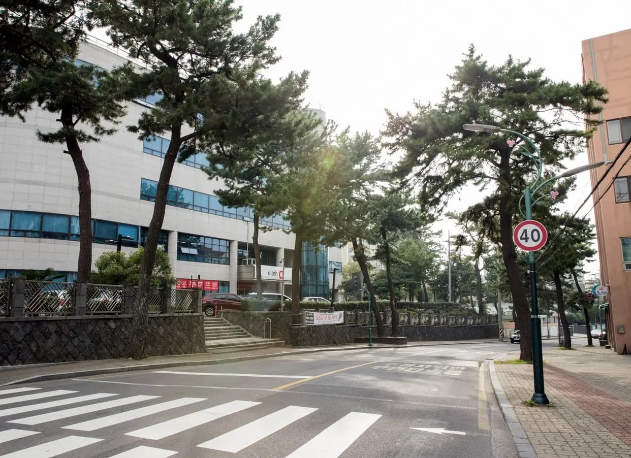 제주농업학교 옛터