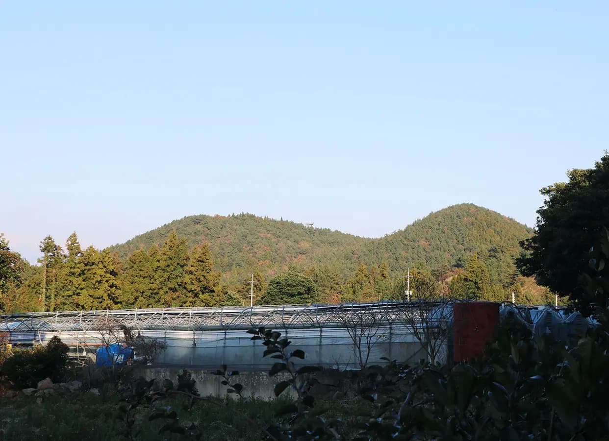 가세오름