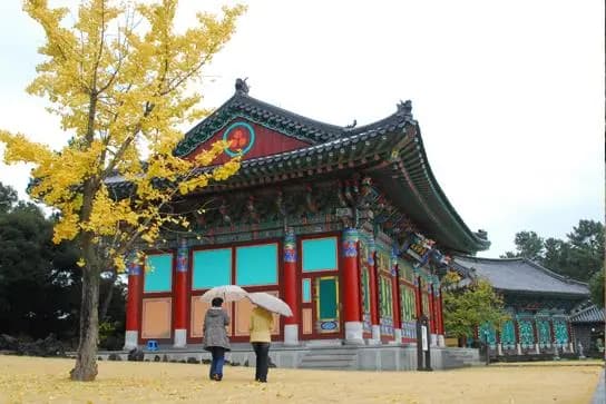 제주불교성지 순례길 절로 가는길 - 지계의 길