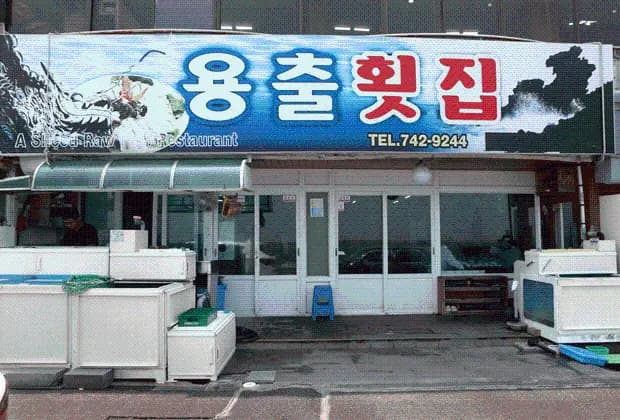 용출횟집