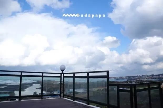 바다파파