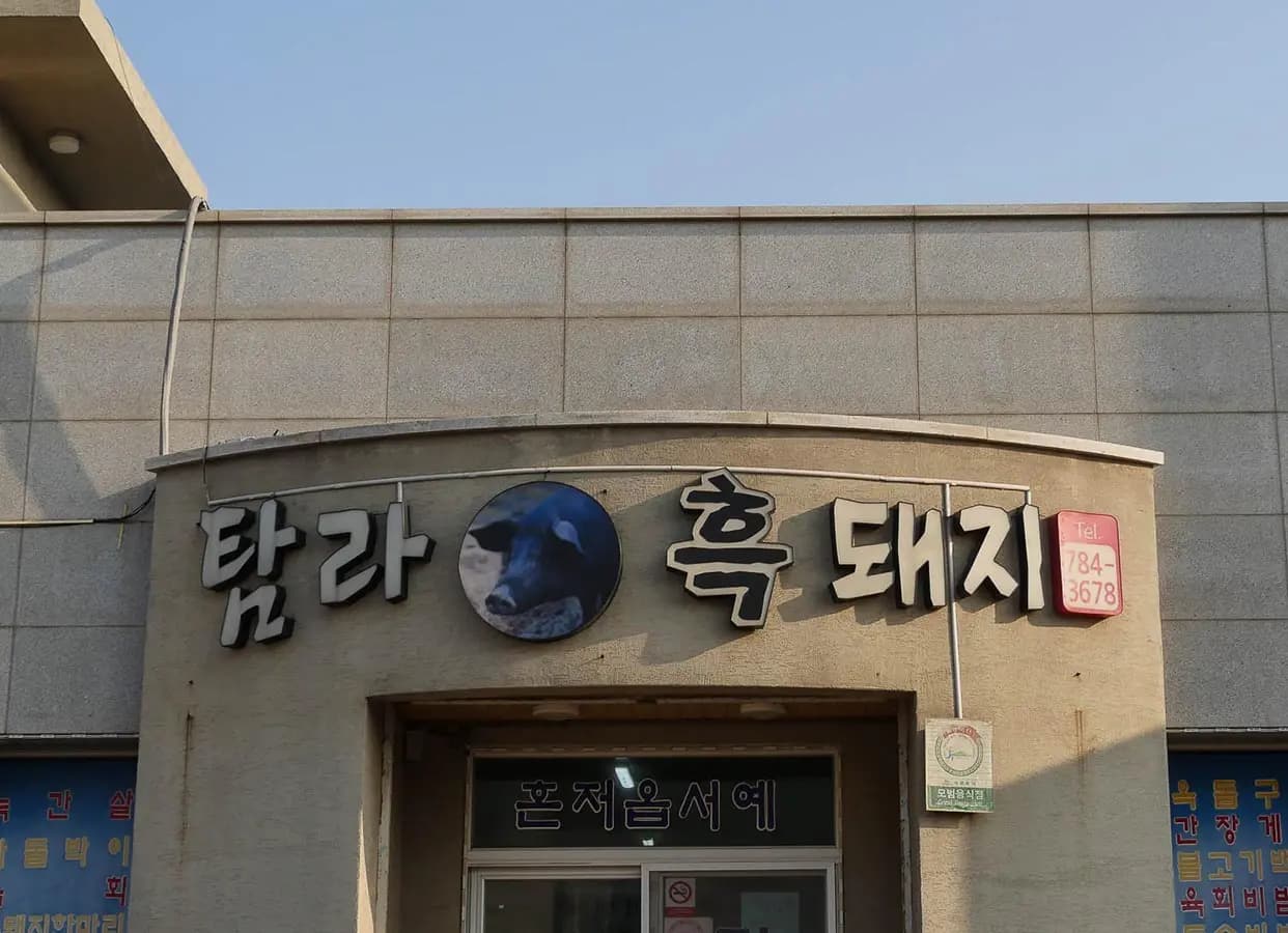 탐라흑돼지