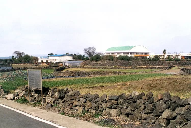 곽지패총