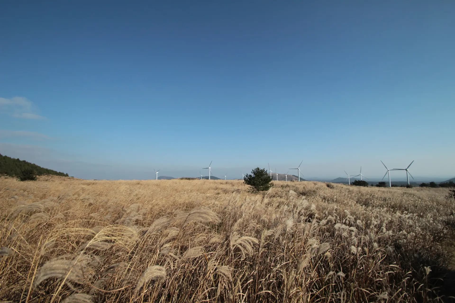 대록산