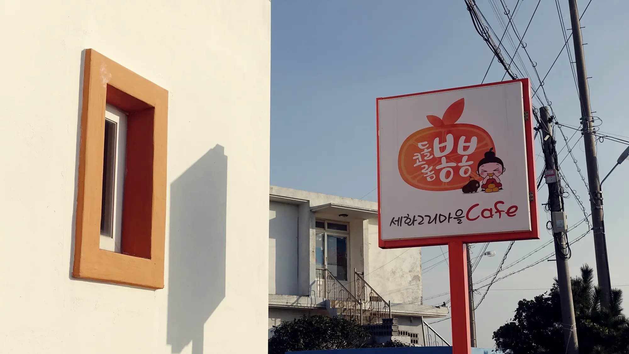 돌코롬봉봉