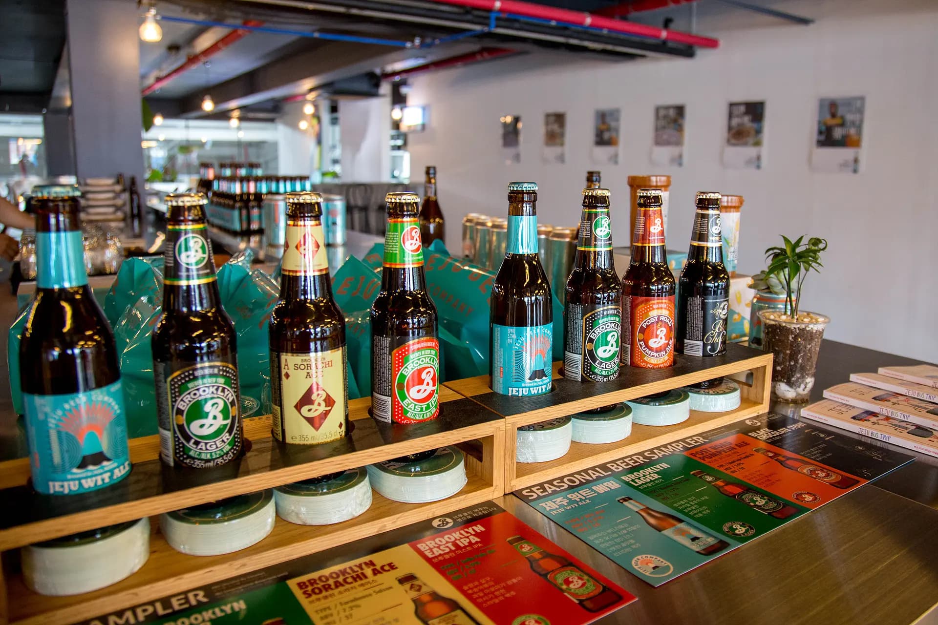 제주 맥주