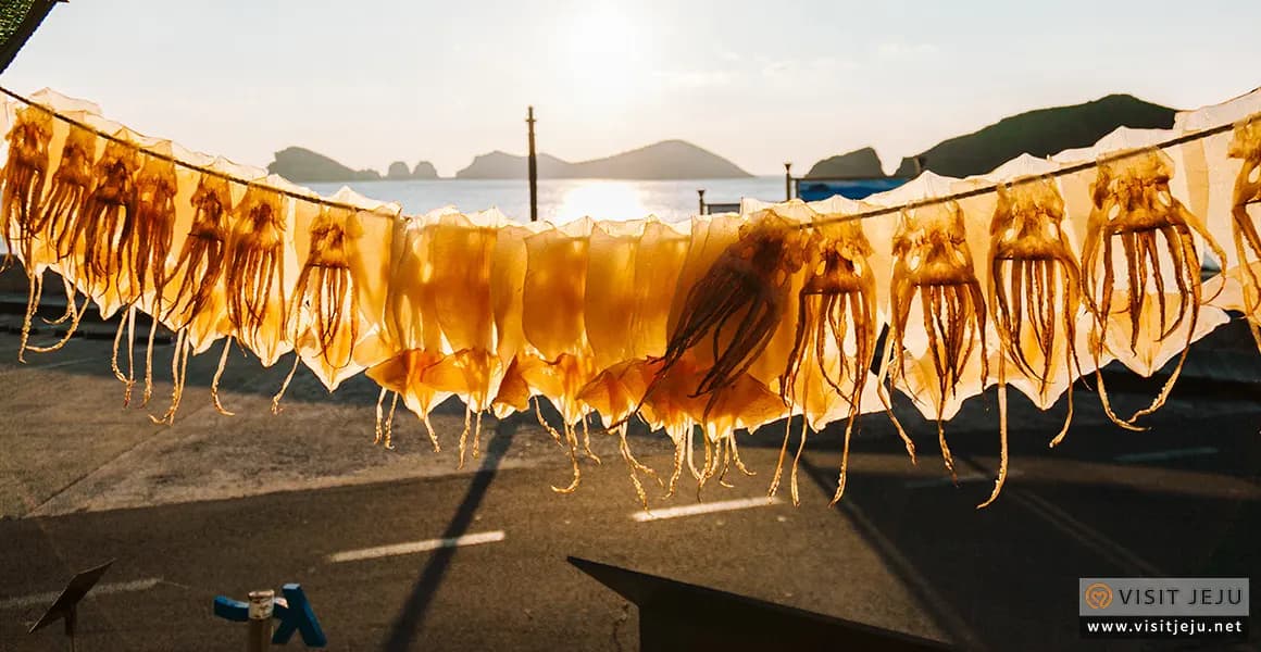 Chagwido Squid
