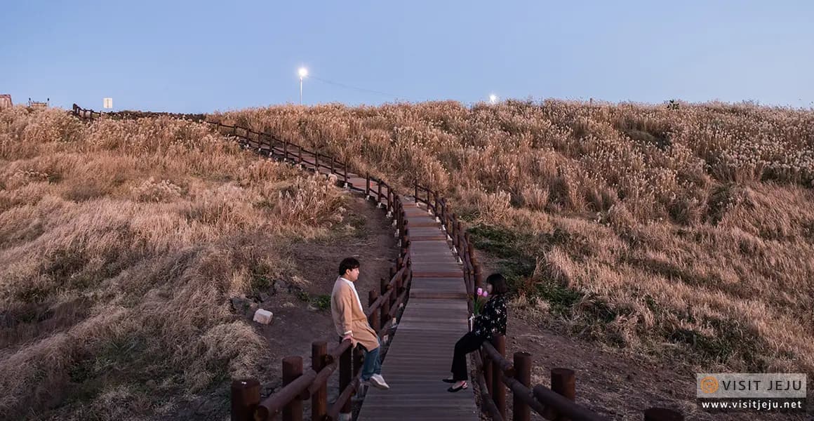해안누리길50코스