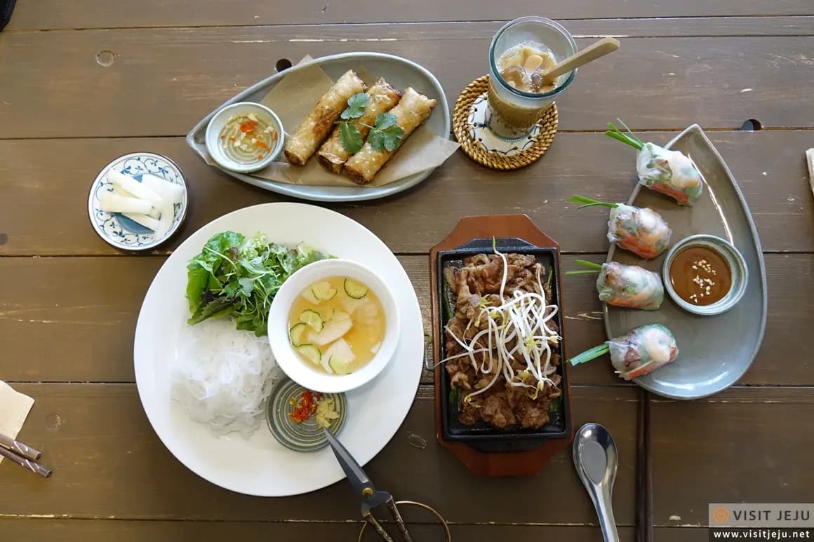 몬스테라