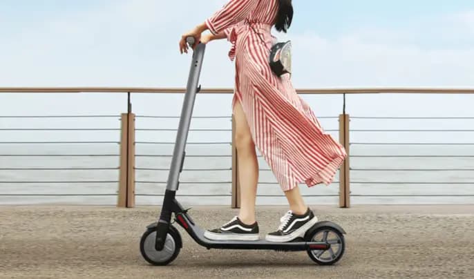 팀케이