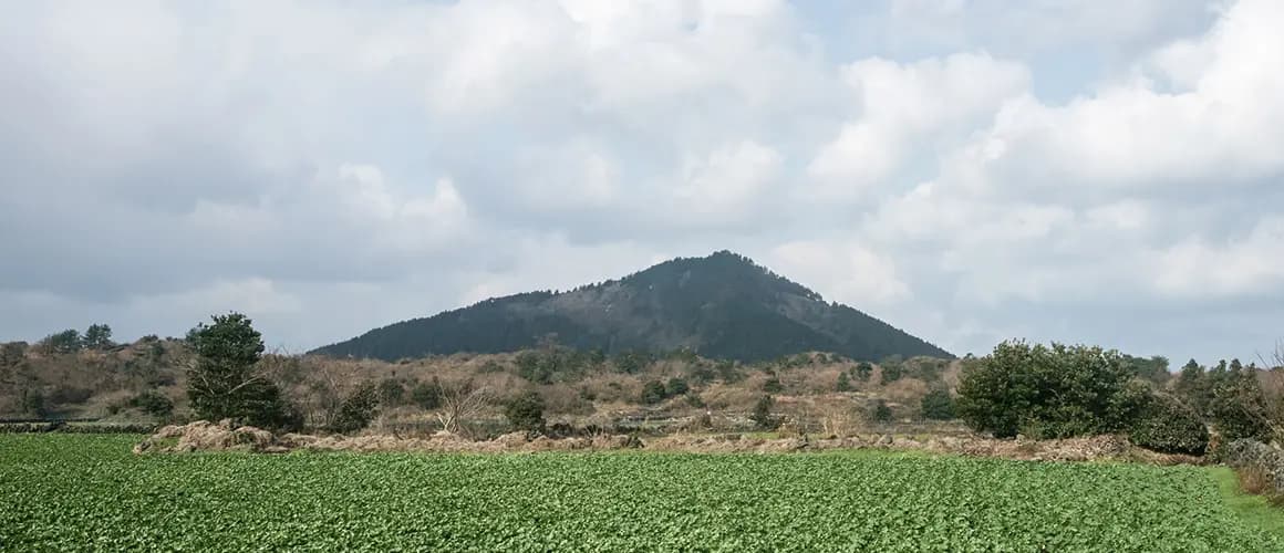 둔지봉