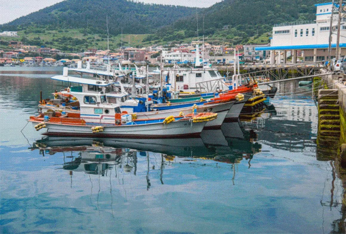 상추자포구