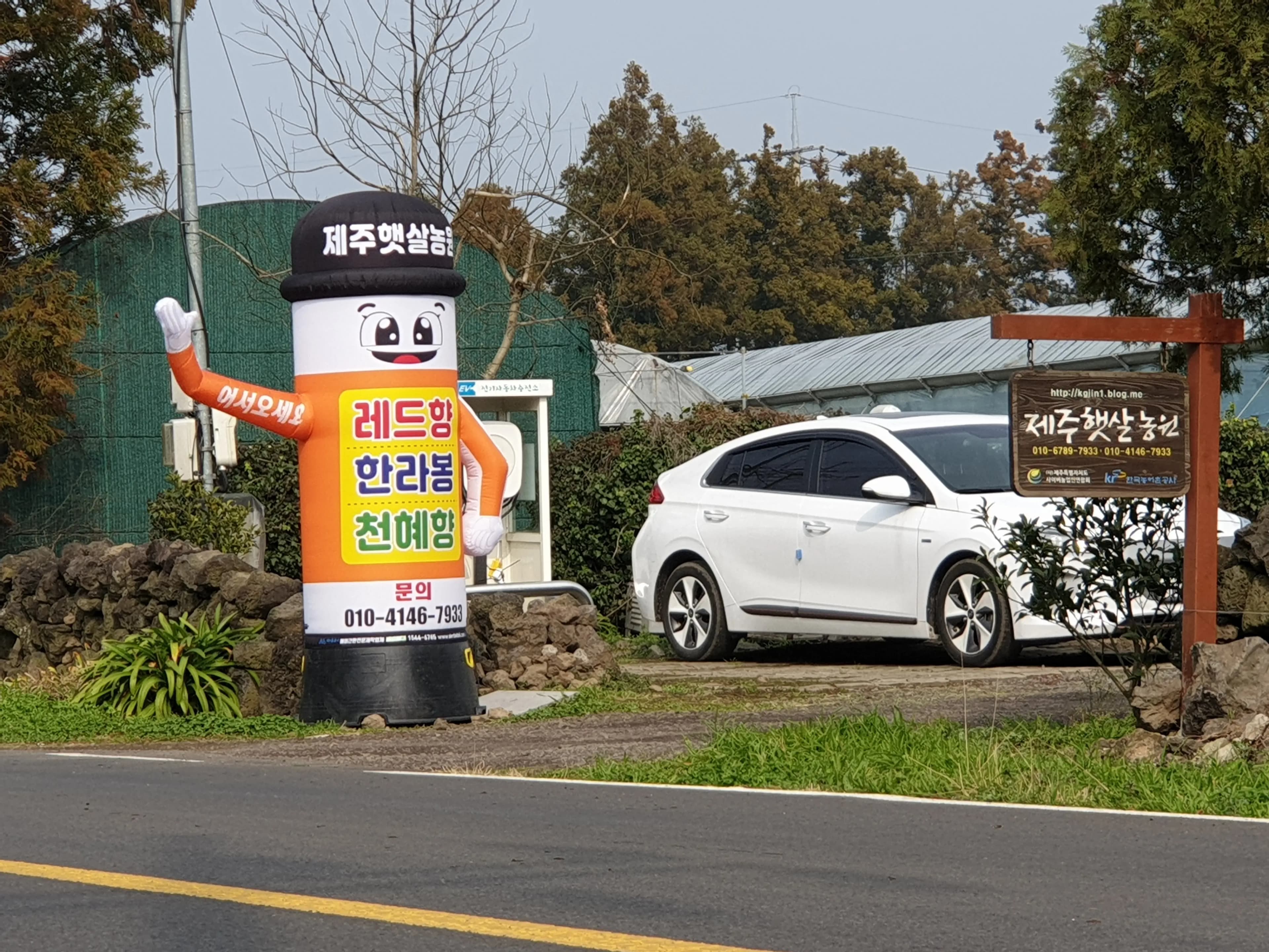 제주햇살농원