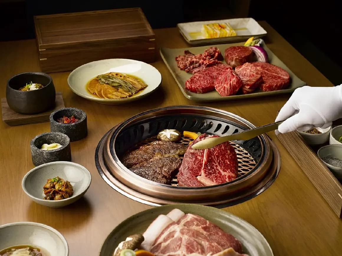 제주 드림타워 녹나무
