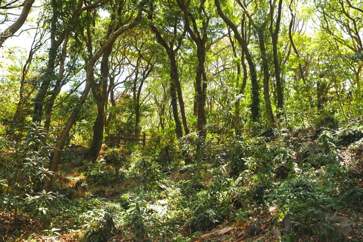 금산공원