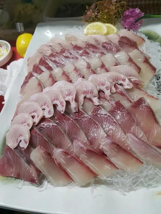 삼바리회센타