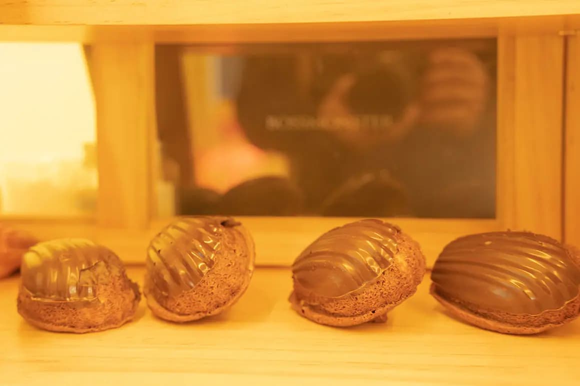 카페 깅코