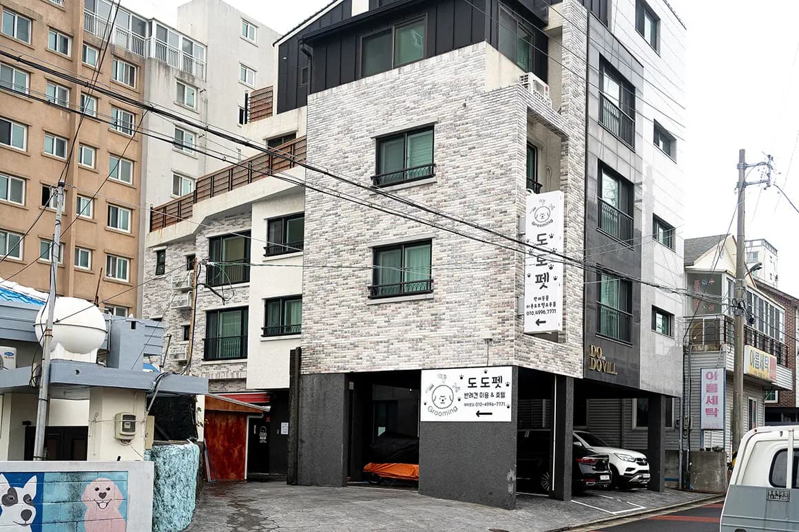 도도펫