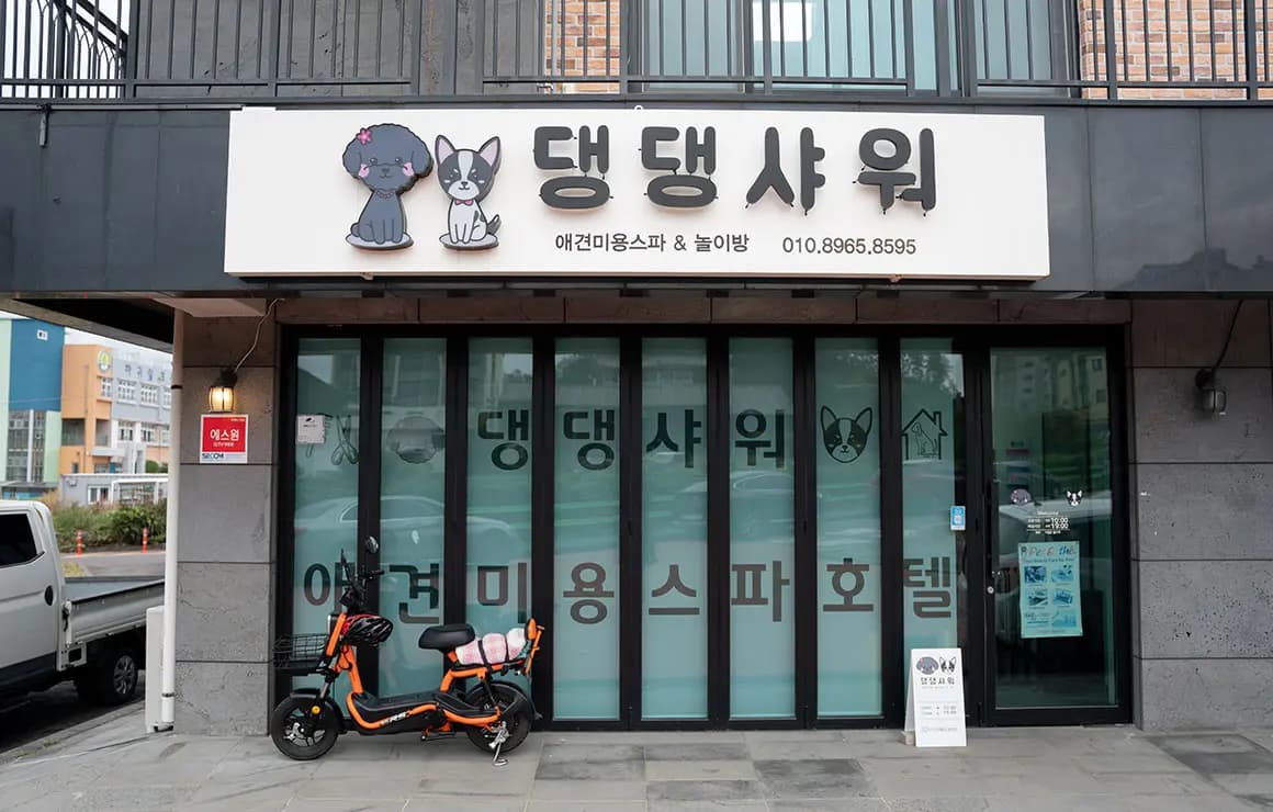 댕댕샤워 애견미용실