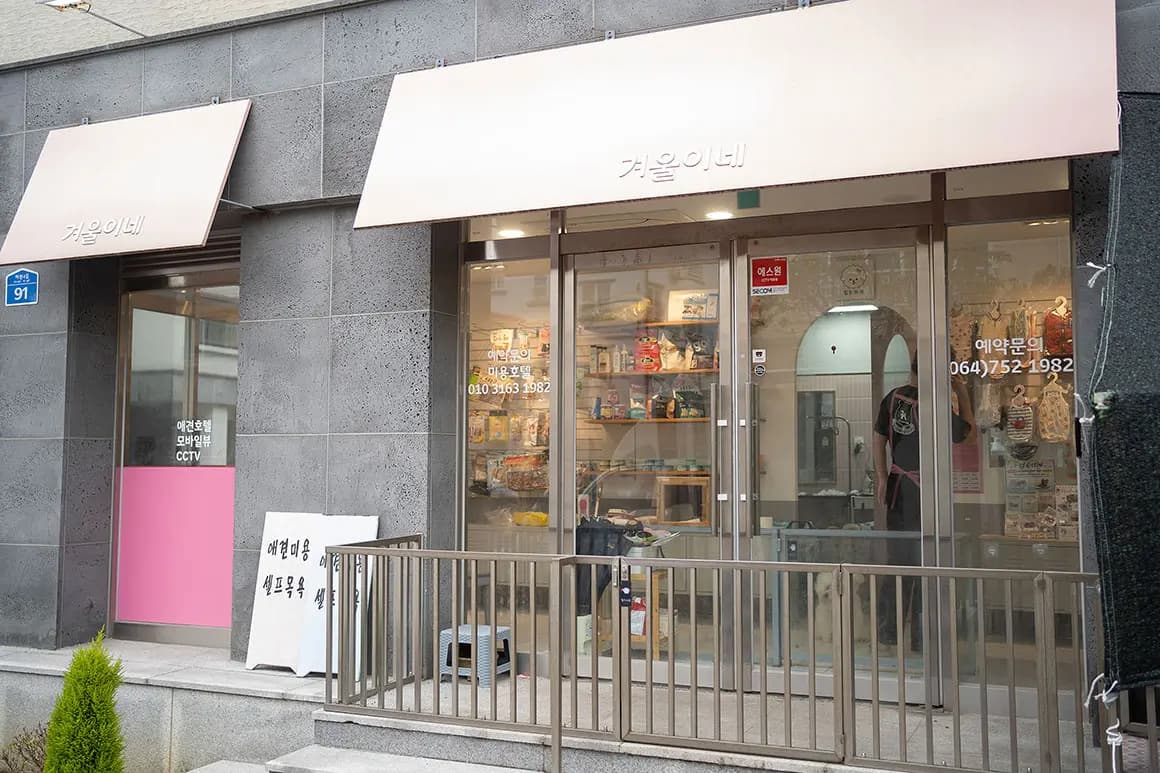 겨울이네