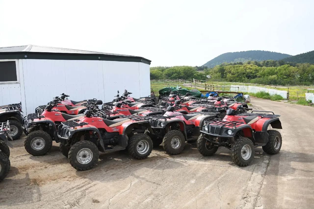 너도나도 ATV