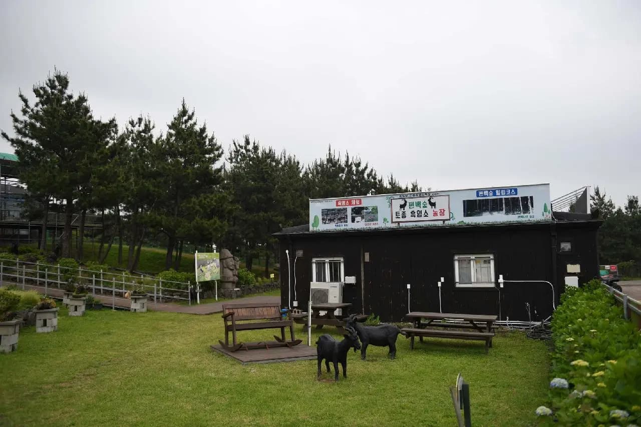 편백포레스트