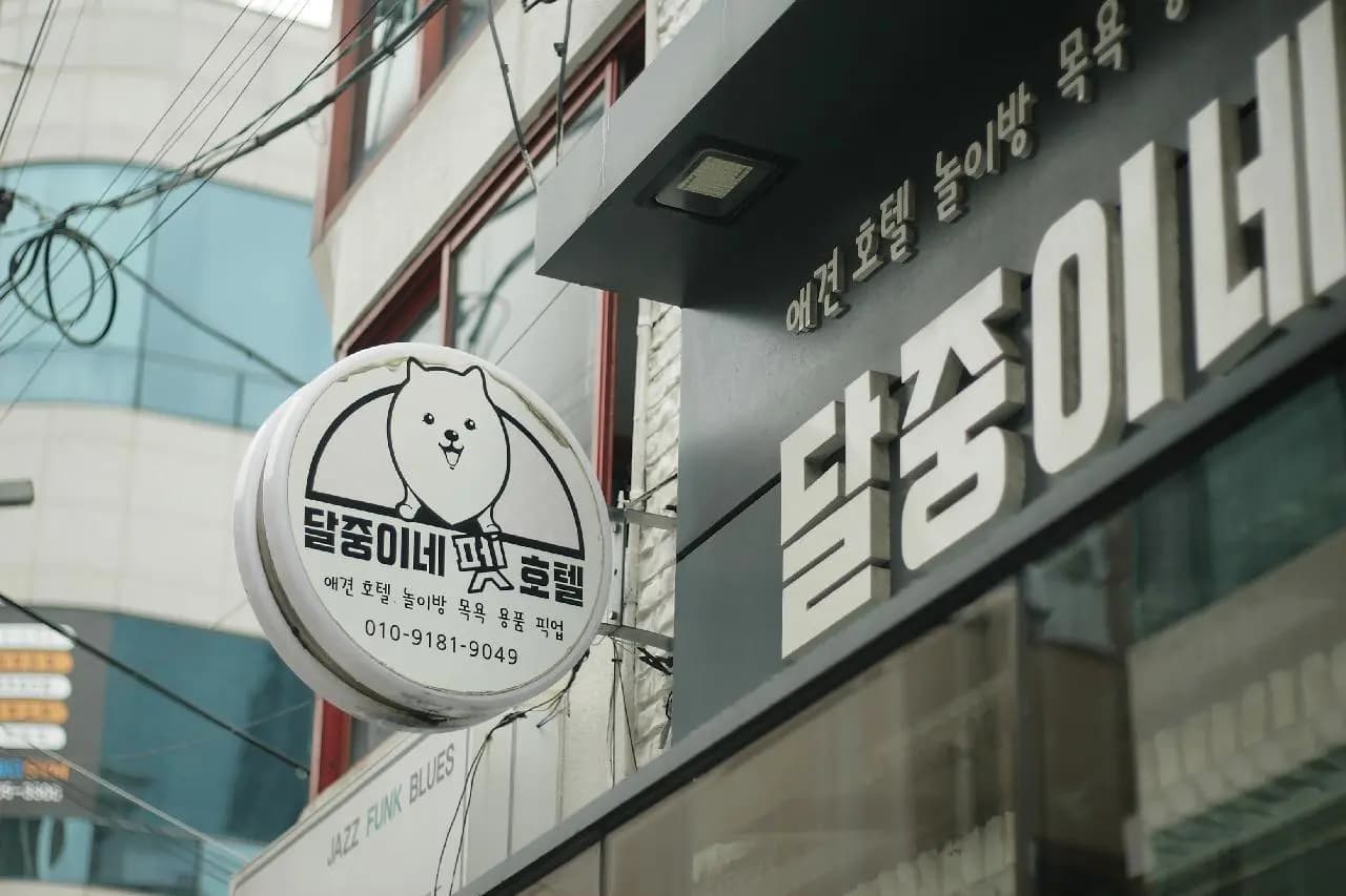 달중이네펫호텔