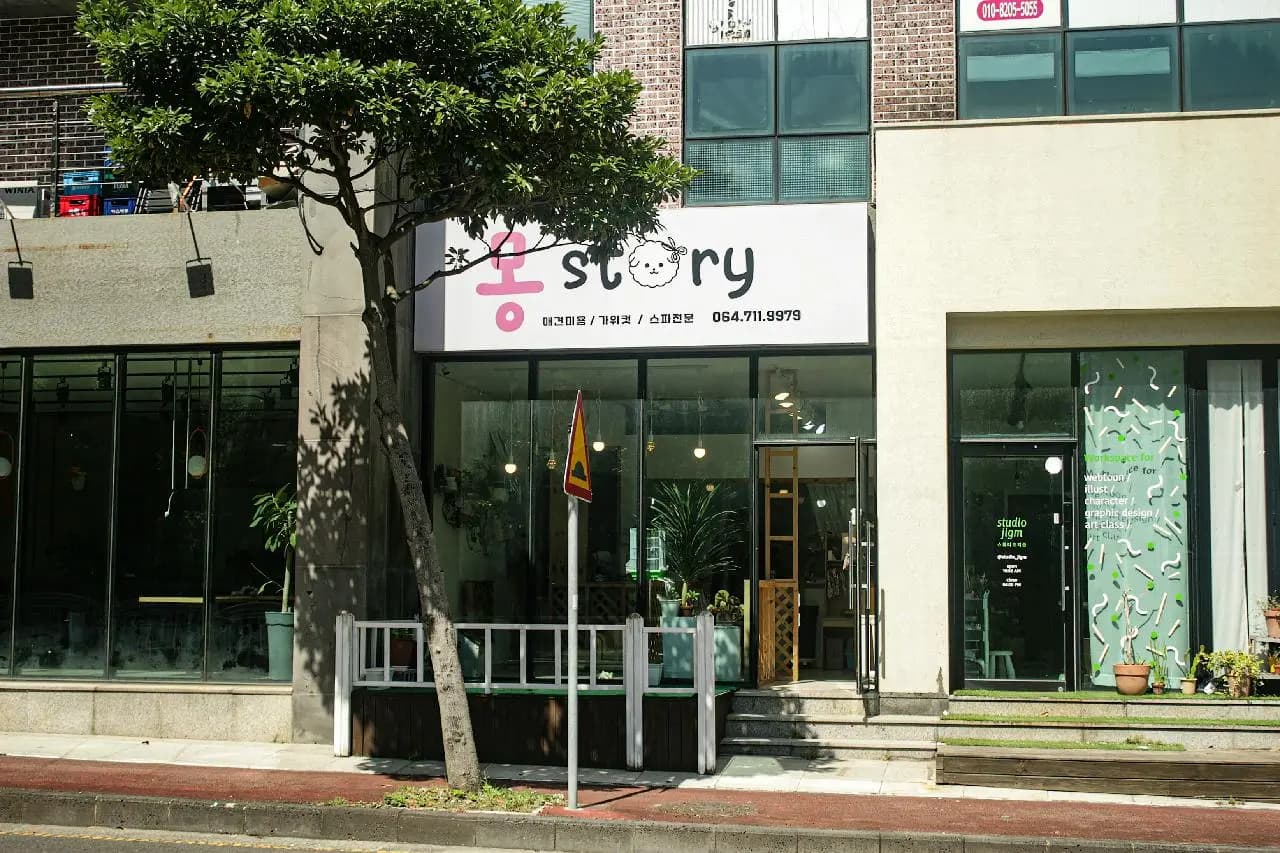 몽story애견미용실