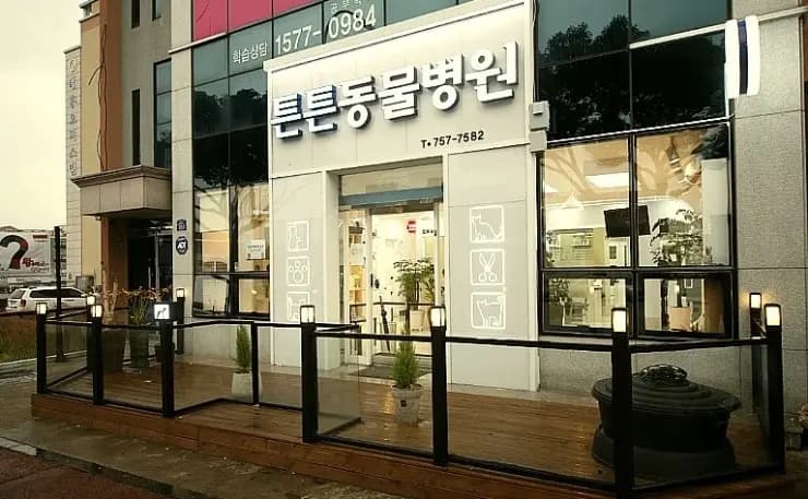 튼튼동물병원